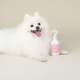 Plume Care 天然、保濕、免沖洗寵物護毛保濕噴霧 - 適合敏感肌膚 - 薰衣草與玫瑰水