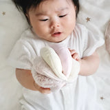 Plume x Beige + Bright Dog/Baby Bundle