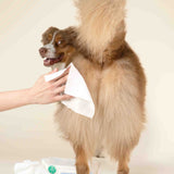 Gentle Cleansing Wet Wipes for Dogs & Cats - Sensitive Skin Approved