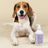 Plume Care Natural, Soothing & Nourishing Pet Shampoo for Sensitive Skin  - Lavender