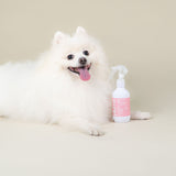 Plume Care Natural, Hydrating, Leave-in Pet Conditioner Spray for Sensitive Skin - Lavender & Rose Water