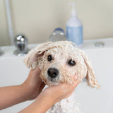 Plume Care Natural, Soothing & Nourishing Pet Shampoo for Sensitive Skin  - Fragrance Free